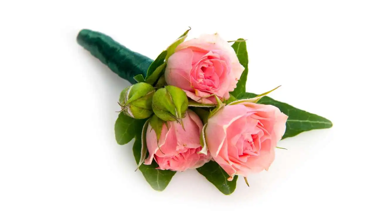 minimalist Posy Bouquet